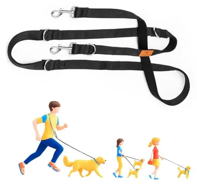 Image de Laisse pour chien candyPet® avec plusieurs positions, 12 en 1, fonction mains libres