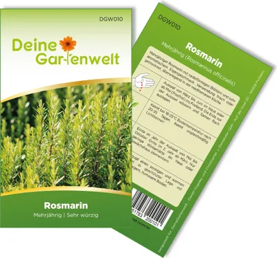 Rosmarin Mehrjährig Samen - Rosmarinus officinalis - Rosmarinsamen - Kräutersamen - Saatgut für 20 Pflanzen