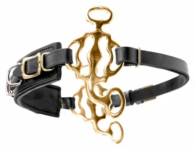 Produktbild von AMKA Hackamore Barock, mit 3 Ringen, Nasenriemen Leder schwarz, Anzüge goldfarben