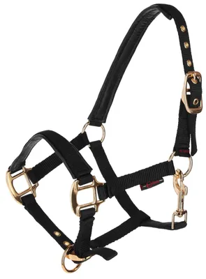 Immagine prodotto di Cavezza per puledri Kerbl TopLine nero 3224748