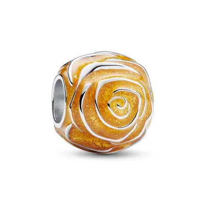 Produktbild von Pandora Charms & Anhänger für Erwachsene