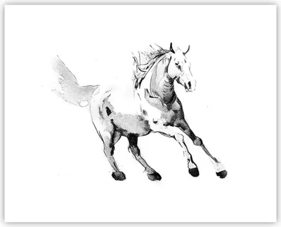 Produktbild von Poster - Poster ohne Rahmen - Pferd Galopp Tier - 50x40 cm - Wand Bild - Wanddeko - Wandbilder - Kunstposter - Wandposter - Bilder - Kunstdruck - Wanddekoration - Wandbild - P2XAA50x40-5117
