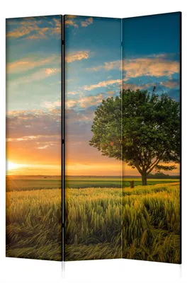 Produktbild von framed concept - Paravent Raumteiler Holz 135x172 cm, 3-teilig beidseitig, Sichtschutzwand