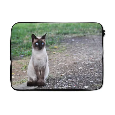 Produktbild von MuchoWow® Laptop Hülle 14 ZollSiamesische Katze sitzt auf einer Kröte Laptoptasche - Laptoptasche - Stoßsicher - Schutzhaube