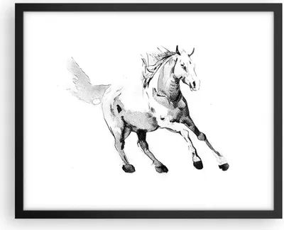 Produktbild von Gerahmtes Poster - Schwarzer Rahmen - Pferd Galopp Tier - 50x40 cm - Wand Bild - Wanddeko - Wandbilder - Kunstposter - Wandposter - Bilderrahmen - Bilder - Kunstdruck - P2BAA50x40-5117