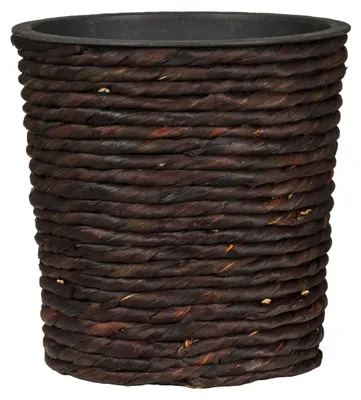 Image de Plante de waterhyacinthe avec insert en plastique, 30 cm