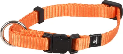 Produktbild von Flamingo Halsband Ziggi orange, Größe: M