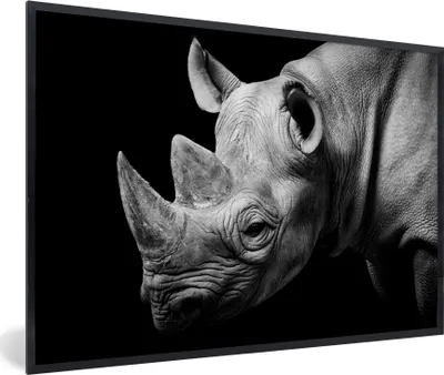 Produktbild von MuchoWow® Gerahmtes Poster Tiere - Nashorn - Schwarz - Weiß - Porträt 90x60 cm - Poster mit Schwarzem Bilderrahmen Wandposter Rahmen Foto Bilder - Fotorahmen - Foto-Plakat