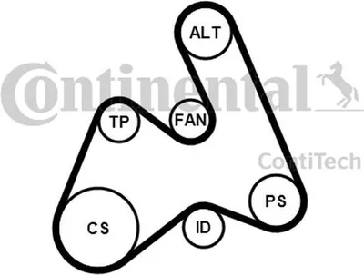 Produktbild von Continental ContiTech 5PK1592K1 Keilrippenriemensatz für AUDI A4 Limousine (8D2, B5) A4 Avant (8D5, B5) A6 Avant (4B5, C5) A6 Limousine (4B2, C5)