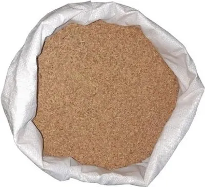 Obrázok produktu pre Sanitar Preparat do szamb i oczyszczalni 25 g
