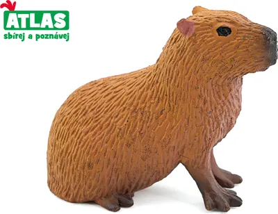 Produktbild von A - Kapybara-Figur 5,5 cm