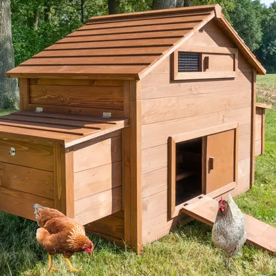 Produktbild von zooprinz Hühnerstall Happyfarm XXL Massivholz 2 Nistkästen Klappdach Metall Schublade 185x112x84cm (BxTxH)