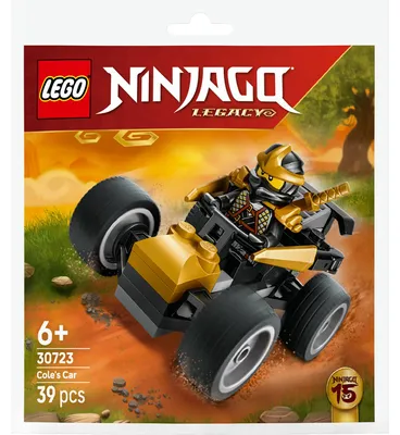 Obrázek produktu pro Klocki LEGO Ninjago rozwijające kreatywność 30723