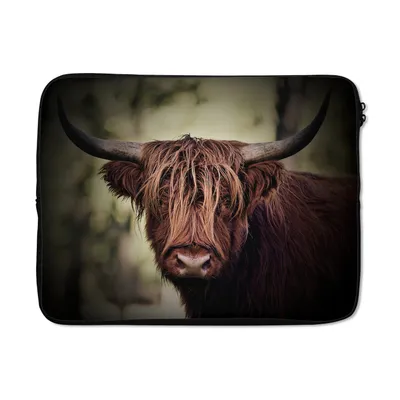 Produktbild von MuchoWow® Laptop Hülle 17 Zoll Laptoptasche Schottischer Hochländer - Licht - Porträt - Natur - Zipper - Schutzabdeckung