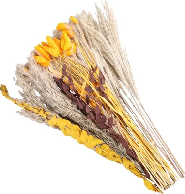 Imagen del producto de Flores secas de plumas de pampa, 64 unidades, 43 cm, ideales para salones y jarrones