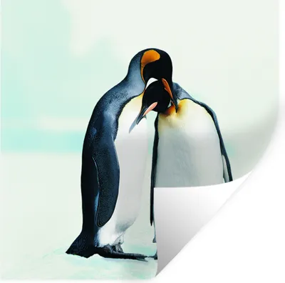 Produktbild von MuchoWow® Wandtattoo Wandsticker Wandaufkleber Pinguine - Schnee - Familie 50x50 cm Selbstklebend und Repositionierbar - Selbstklebend - Fototapeten