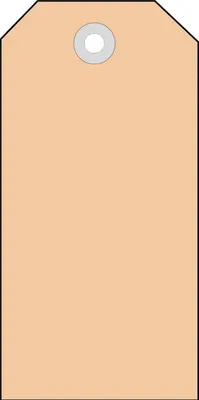 Produktbild von Anhängezettel 48x95mm mit Pappöse VE=12x1000 Stück