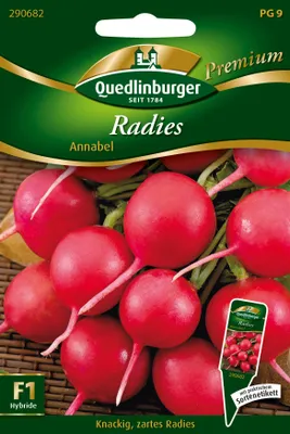 Artikelbild 1 von 'Radies Annabel' aus der Kategorie Radieschensamen