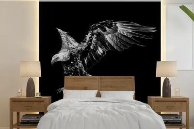 Produktbild von MuchoWow® Fototapete für Wohnzimmer oder Schlafzimmer Wandtapete Vinyl Motivtapete Adler - Vogel - Schwarz - Weiß - 300x300 cm - Wanddekoration
