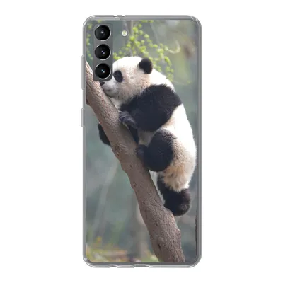 Produktbild von MuchoWow® Handyhülle Schutzhülle Hülle für Samsung Galaxy S21 Plus Panda - Tier - Baum Silikon Softcase Handy Hülle - Handy-Tasche