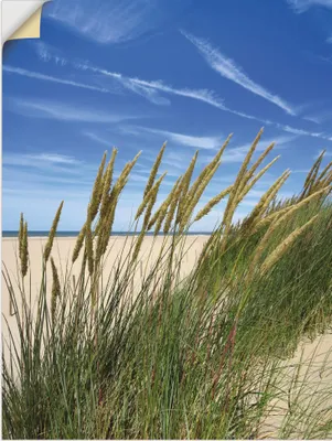 Produktbild von ARTland Wandbild, selbstklebend Blühendes Strandgras Größe: 60x80 cm