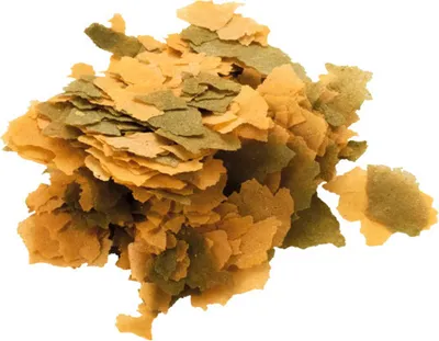 Zdjęcie produktu dla TetraCichlid XL-Flakes 1L