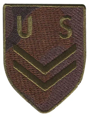 Obrázok produktu pre Vojenská nášivka US Army, nažehľovacia nášivka, nažehľovacia aplikácia, nášivky, nášivky, nažehľovacie, veľkosť: 4,8 x 6,5 cm