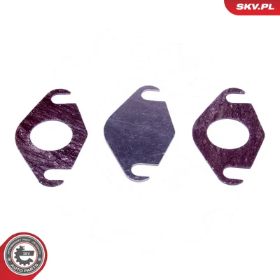 Produktbild von ESEN SKV Reparatursatz, Ansaugkrümmermodul 14SKV577