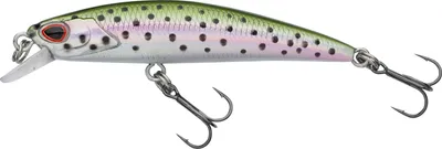 Produktbild von Berkley DEX Bullet Jerk TSR (Rainbow Trout)