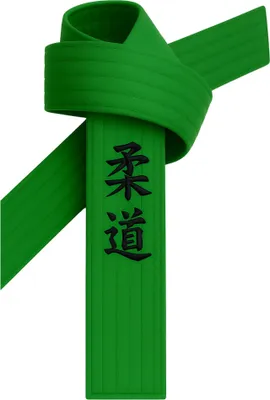 Produktbild von Judogürtel Grün bestickt - Judo Schriftzeichen japanisch - Grüngurt mit Kanji Bestickung - 220 cm Länge