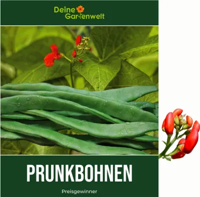 Produktbild von Prunkbohnen Preisgewinner Samen - Phaseolus coccineus - Bohnensamen - Gemüsesamen - Saatgut für 15 Pflanzen