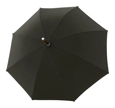 Produktbild von doppler Manufaktur Stockregenschirm Regenschirm RS.Kastanie Loden Green dunkelgrün