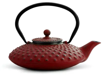 Produktbild von Teekanne 0,8 L Asia Xilin