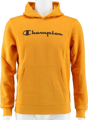 Obrázek produktu pro Mikiny Champion Big Logo Print 305358OS033F20