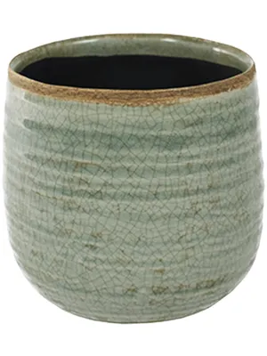 Produktbild von Topf Iris mint D14 H12