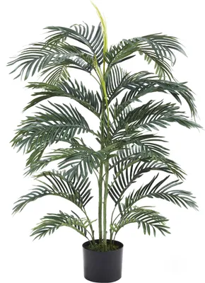 Produktbild von aplanta Künstliche Palme – Maleko | 120 cm, für drinnen, Kunstbaum, wie echt, Allergiker geeignet, pflanzliche Dekoration Praxis, Office & Wohnzimmer