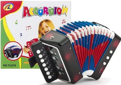 Produktbild von Akkordeon schwarz