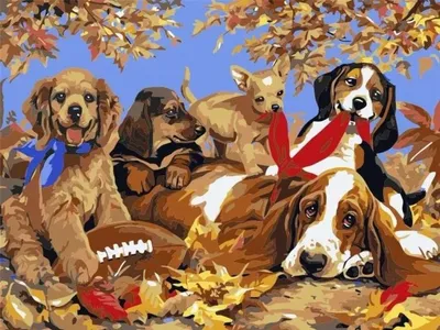 Produktbild von Malen nach Zahlen – 30 x 40 cm Hunde – Titanum
