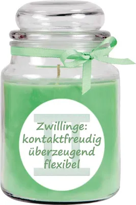 Obrázok produktu pre HS Candle "Zverokruh" sviečka s vôňou kokosu v nádobe na cukrovinky ( Blíženci ) - na výber z mnohých motívov, 500 g - doba horenia až 110 hodín - Blíženci