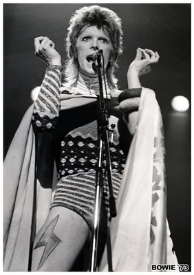 Obrázek produktu pro David BOWIE - 1973 - Plakát - 59x84 cm