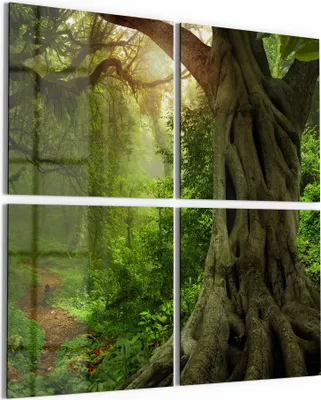 Produktbild von DEQORI Glasbild Echtglas 4x50x50 cm 'Urwaldgeheimnis' Wandbilder XXL groß