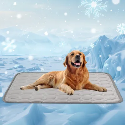 Immagine prodotto di Tappetino refrigerante per cani, autorigenerante, 100 x 70 cm, lavabile, adatto per interni ed esterni