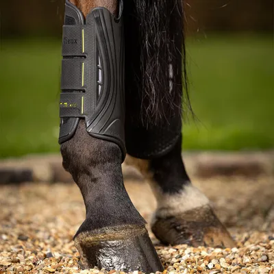 Produktbild von LeMieux MIMsafe XC Boot Hind, Farbe:Black, Größe:M