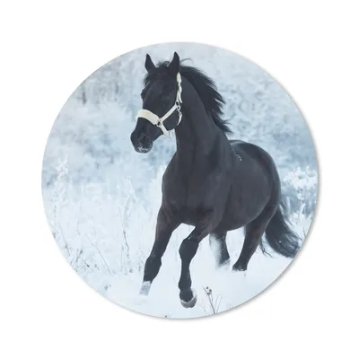 Produktbild von MuchoWow® Mauspad Mousepad Pferd - Schnee - Wald 20x20 cm - Mousepads - Maus Mat - Pad - Mausunterlage - Schreibtischmatte