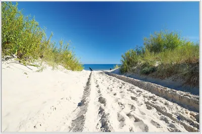 Produktbild von Wallario Wandbild Auf dem Sandweg zum Strand - Blauer Himmel über dem Meer, Größe: 61 x 91,50 cm, Poster mit weißem Aluminiumrahmen
