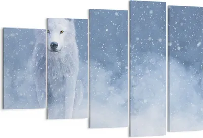 Produktbild von Bild auf Leinwand - Leinwandbild - 5 Teile - Weiß Wolf Schnee - 150x100cm - Wand Bild - Wanddeko - Wandbilder - Leinwanddruck - Bilder - Wanddekoration - Leinwand bilder - Wandbild - EG150x100-5006