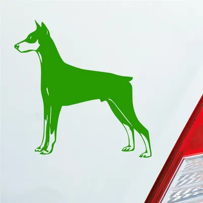 Produktbild von Auto Aufkleber Dobermann Hund Dog Animal Tier 10x10 cm Hellgrün Sticker Heckscheibenaufkleber