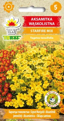 Zdjęcie produktu dla Aksamitka wąskolistna Starfire Mix TORAF nasiona 410