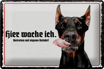 Produktbild von Blechschild Hinweis Dobermann hier wache ich eigene Gefahr, 30 x 20 cm, Blechschilder Tiere Achtung