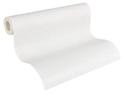 Produktbild von A.S. Création Vliestapete Meistervlies Pro Protect 2, weiss, überstreichbar, 10,05 m x 0,53 m, 246011, 2460-11